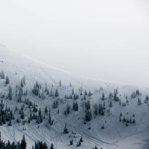 睡前循环-白噪音-失眠特效药【暴风雪山庄】18