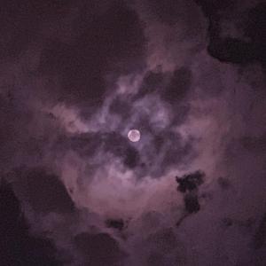 那晚 我对着月亮 把初夏的奇迹交给了神明