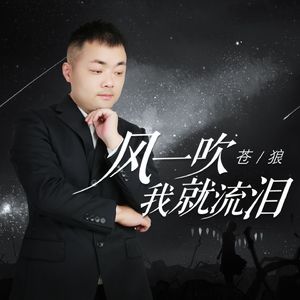 风一吹我就流泪（DJ月之歌版）