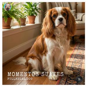 Momentos suaves