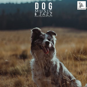 Dog Calming Music For Storms