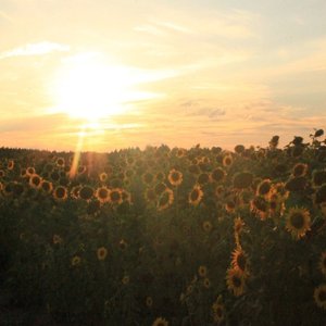 последний час