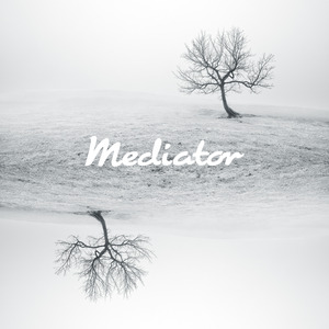 Mediator