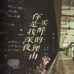 你是我深夜买醉的借口（DJheap九天版）