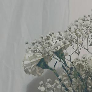 wanttoluvu (chopped)