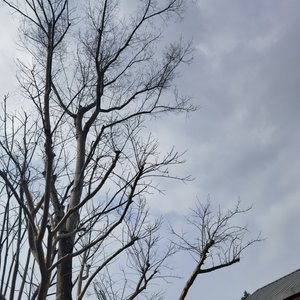 玻璃杯里面的水