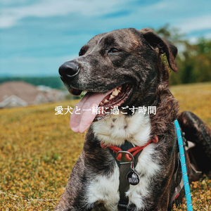 Lonely Feeling Fresh in February