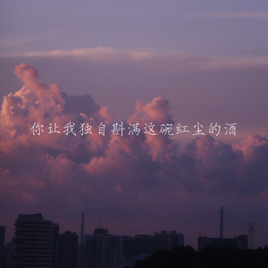 你让我独自斟满这碗红尘的酒