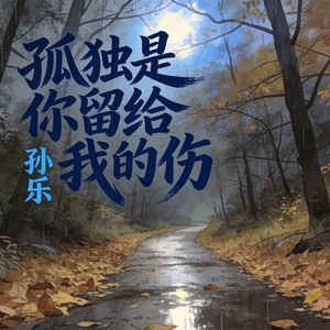 孤独是你留给我的伤