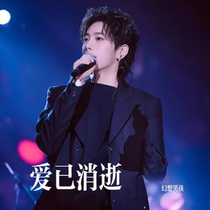爱已消逝