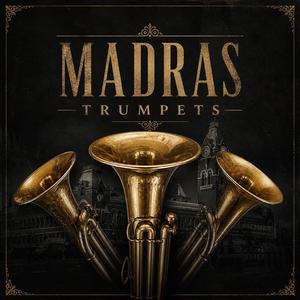 MADRAS TRUMPETS