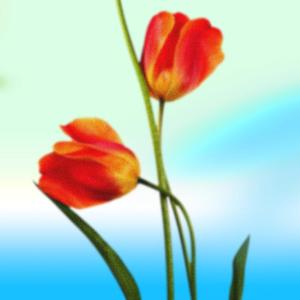 天空之城 女声吉他弹唱