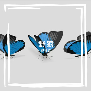 琴弦上的雨滴