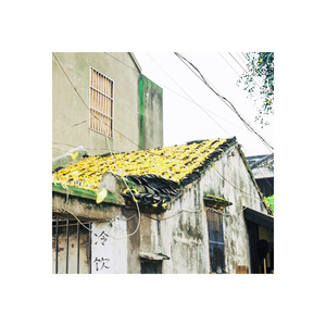 有电梯绝不走楼梯