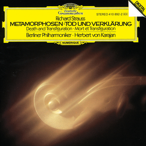 Metamorphosen For 23 Solo Strings