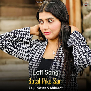 Botal Peeke Sari (lofi remix)