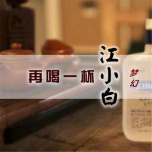 再喝一杯江小白（翻自 张欢）