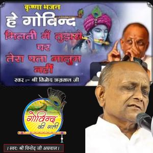 Hey Govind Milti Main Tujhse हे गोविन्द मिलती में तुझ से (Bhajan)