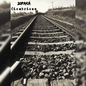 Cicatrices (Edición IX Aniversario)
