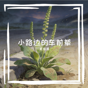 小路边的车前草