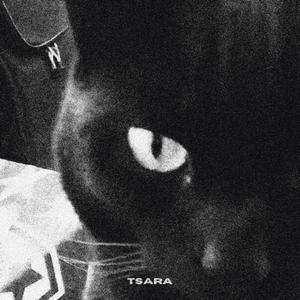 My cat is taking valium