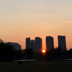 总有一天你会出现在我身边