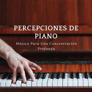 Itinerario Introspectivo