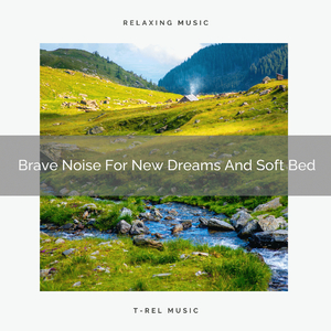 Brave Noise For Top Sleep And Hard Work