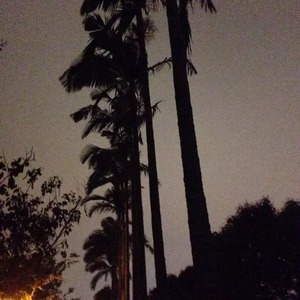 朋友关系（Cover 龚子婕）