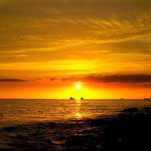 我的眼泪你的战利品