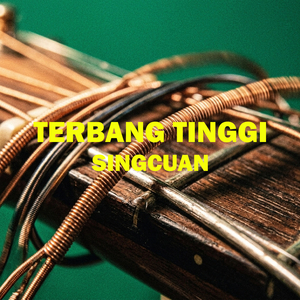 Terbang Tinggi
