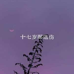 十七岁那道伤