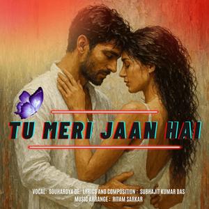 TU MERI JAAN HAI