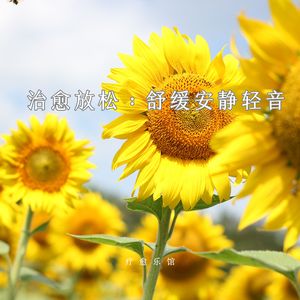 云端约定（安眠）