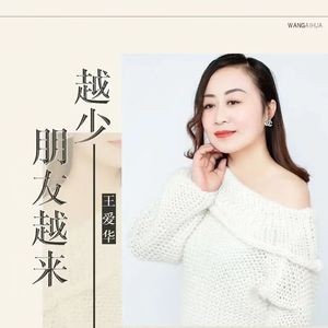 朋友越来越少 (DJ版)