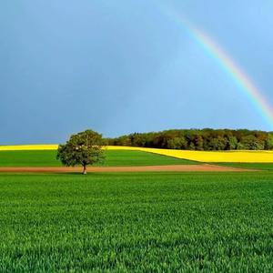 给我无尽不眠的春天