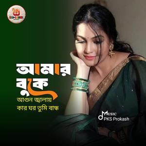 আমার বুকে আগুন জ্বালায় | Amar Buke Agun Jalay
