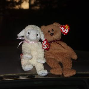 apartments (live at spiral pattern)