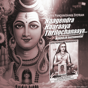 Naagendra Haaraaya Thrilochanaaya (Mandolin Instrumental)