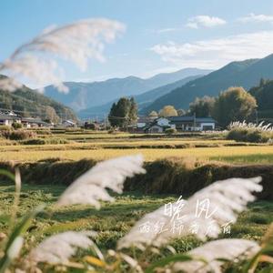 我配不上你 (Cover 夏天Alex)