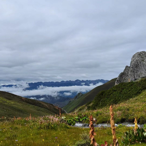 慕马人（prod by GALA$XXY）