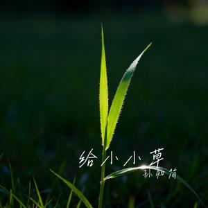 给小小草