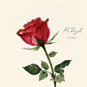 Mr Right