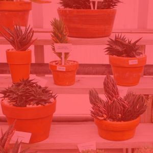 微妙的商店心情