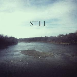 Living Rooms and Serviceberry Bushes