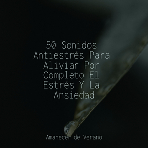 Ascendente Resonancia Emergente