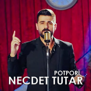 Potpori