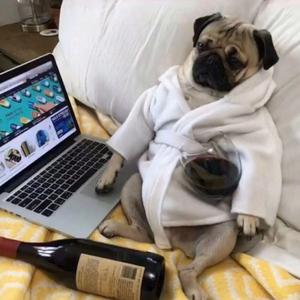 大雾四起我在无人处爱你