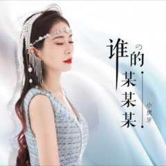 谁的某某某 DJ版