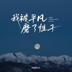 我被平凡磨了性子